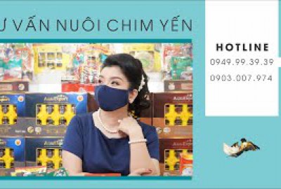 TƯ VẤN TRỰC TUYẾN NUÔI CHIM YẾN