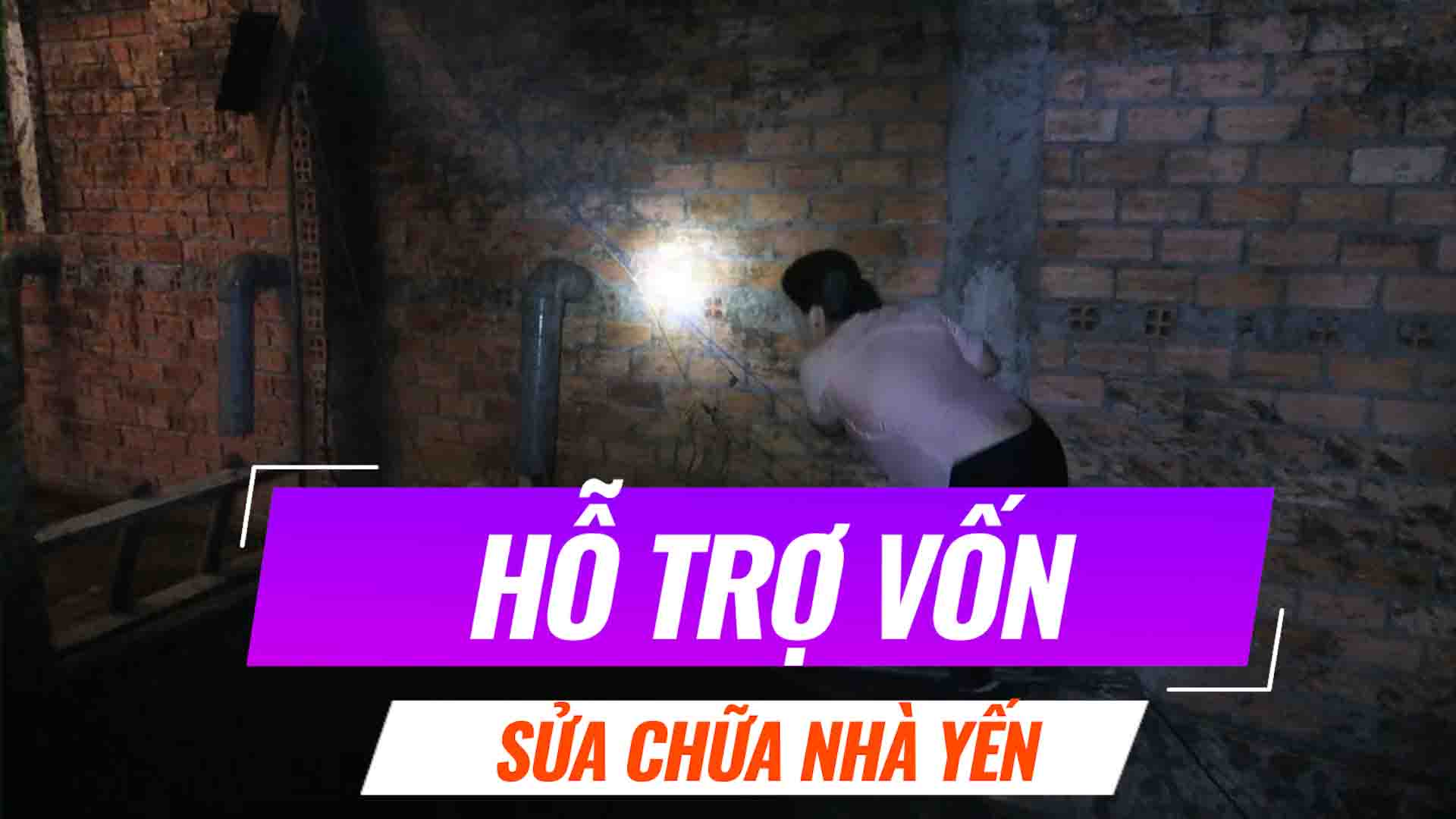 SỬA CHỮA NHÀ NUÔI CHIM YẾN BỊ THẤT BẠI