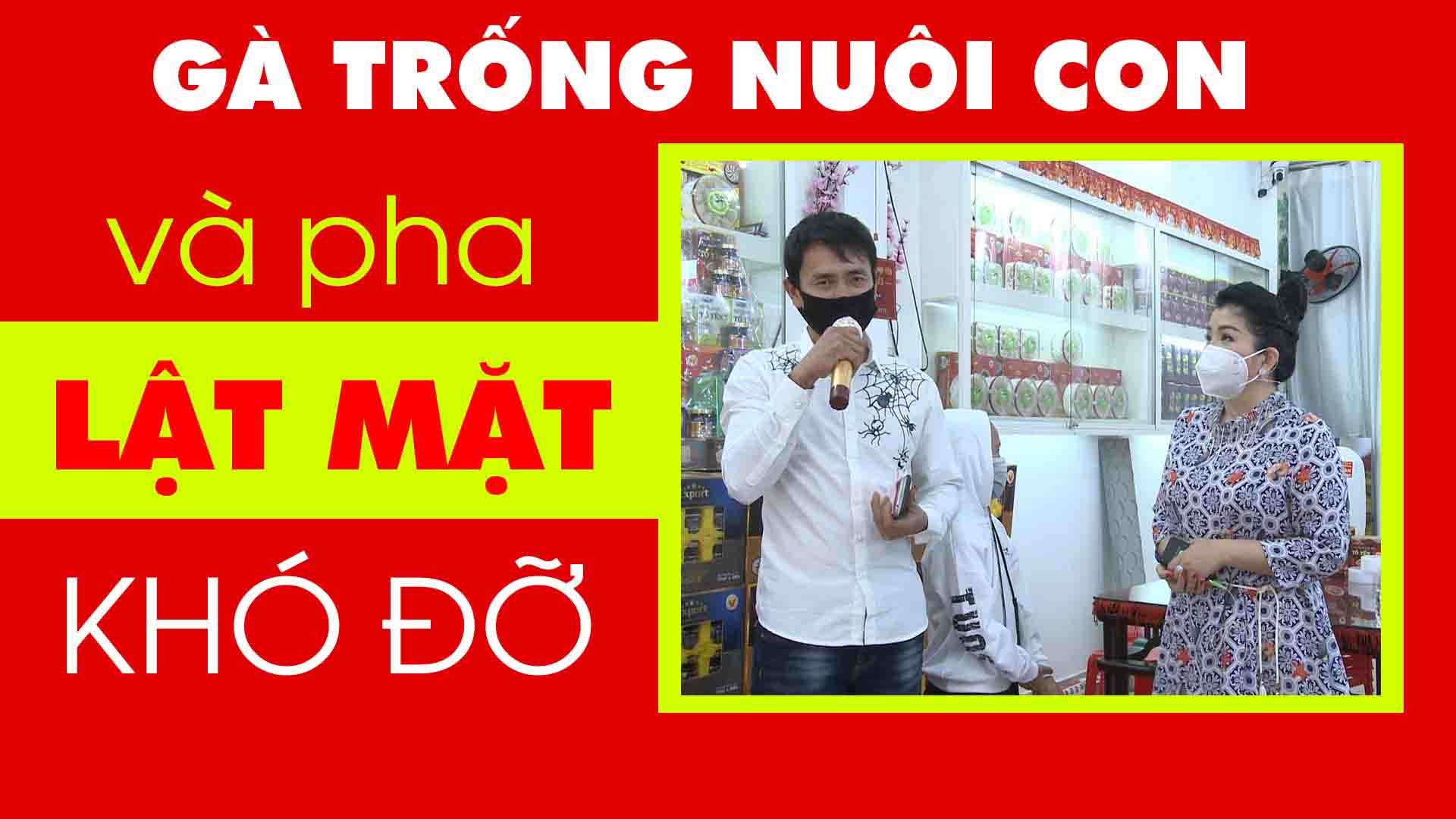 GÀ TRỐNG NUÔI CON – VÀ PHA “LẬT MẶT” KHÓ ĐỠ