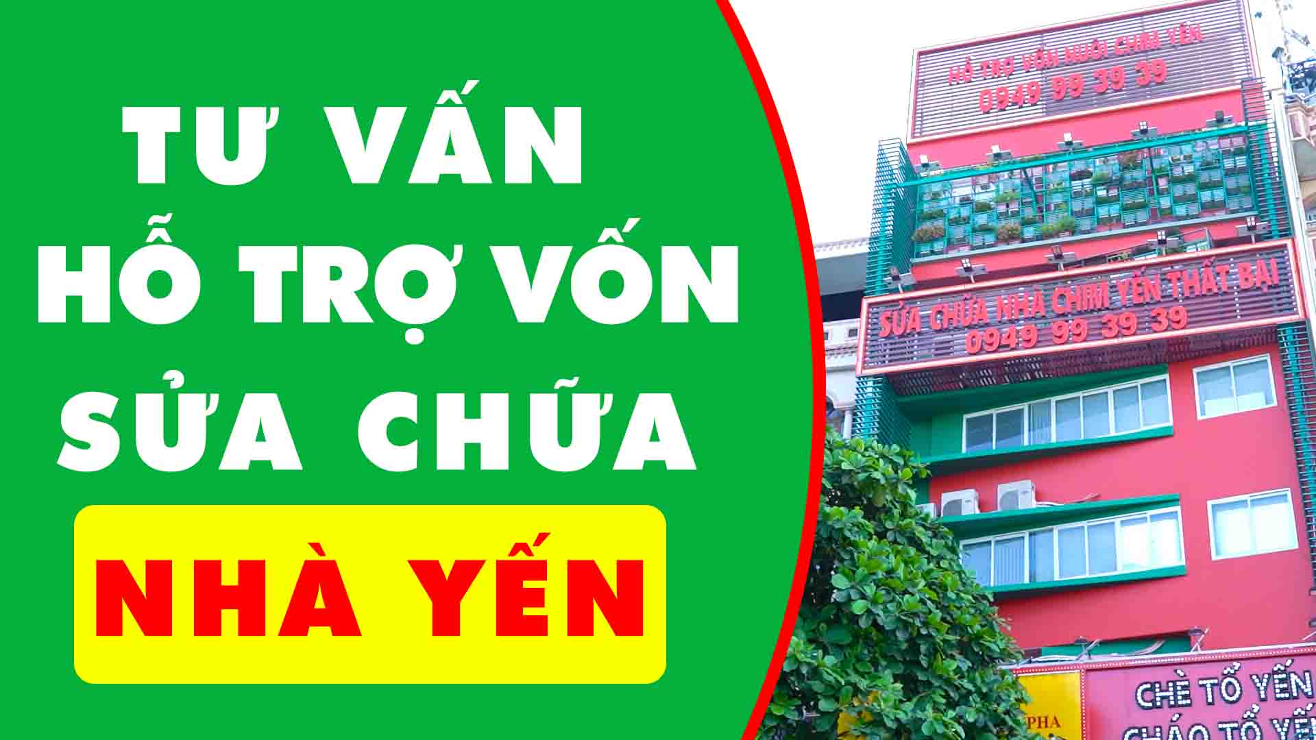 Yến Sào Anpha - Tư Vấn/Hỗ Trợ Vốn/Sửa Chữa Nhà Yến