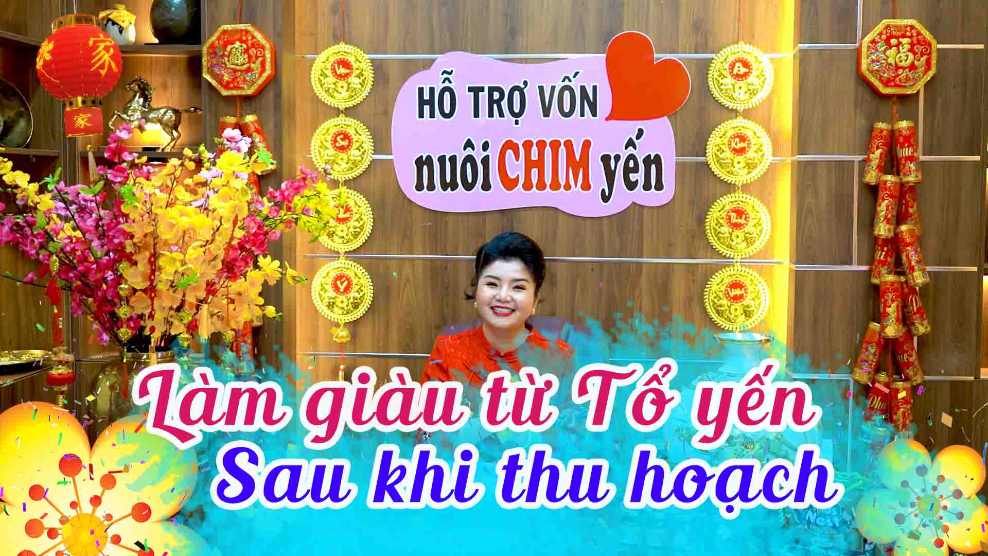 CÁCH LÀM GIÀU TỪ TỔ YẾN SAU KHI THU HOẠCH