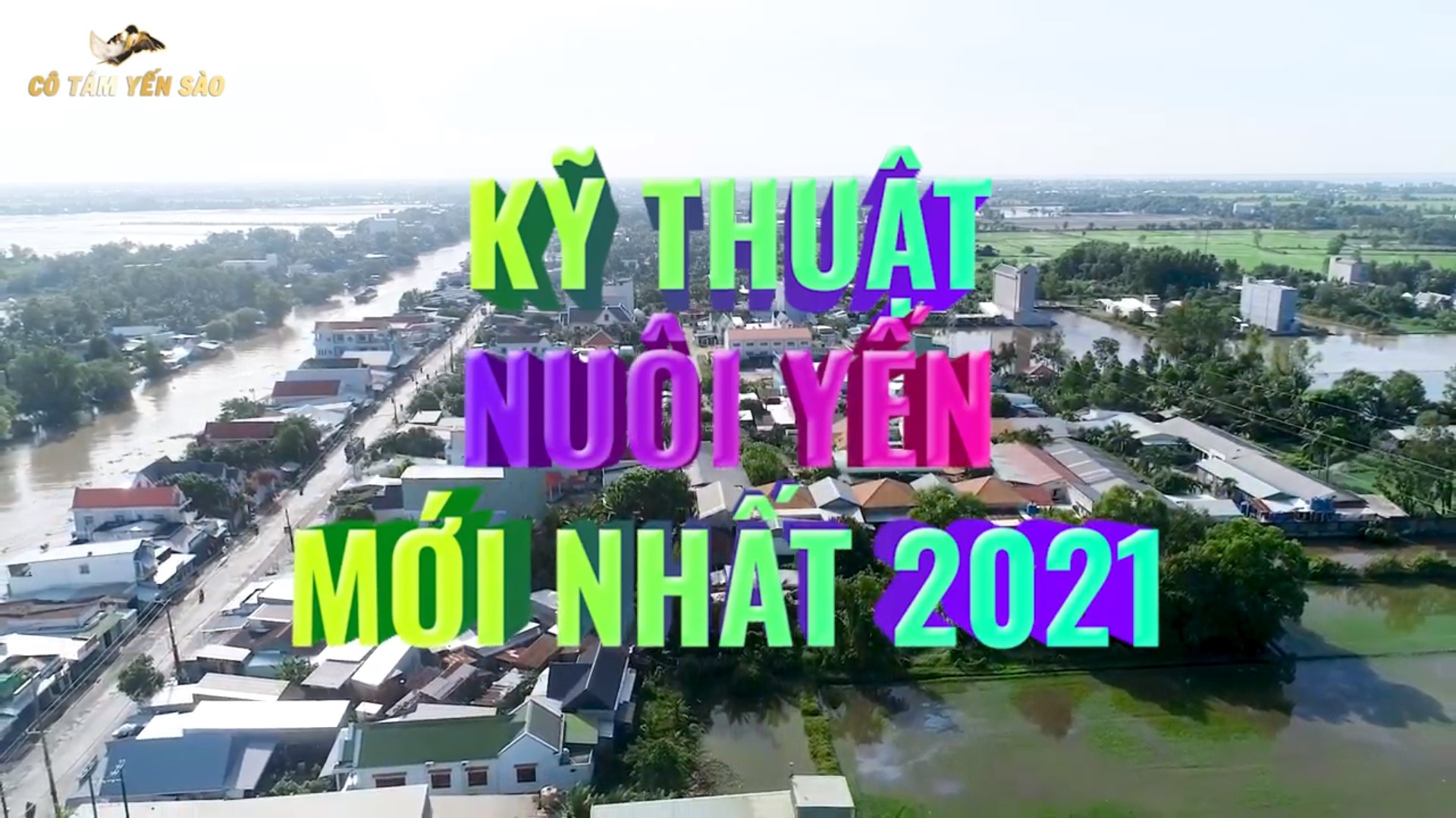 KỸ THUẬT NUÔI CHIM YẾN MỚI NHẤT 2021