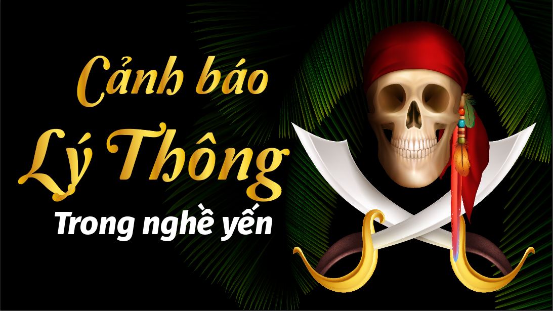 ĐÁNG SỢ với chiêu trò tinh vi của “LÝ THÔNG” trong nghề yến