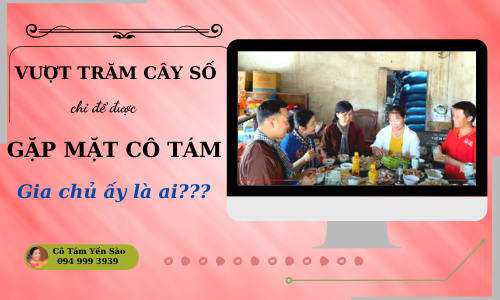 VƯỢT TRĂM CÂY SỐ CHỈ ĐỂ ĐƯỢC GẶP TÁM MỘT LẦN