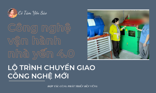 LỘ TRÌNH VẬN HÀNH NHÀ YẾN THEO CÔNG NGHỆ MỚI NHẤT NĂM 2022