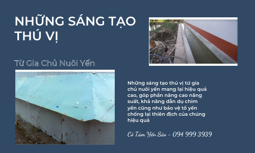 Những sáng kiến thú vị từ gia chủ nhà yến