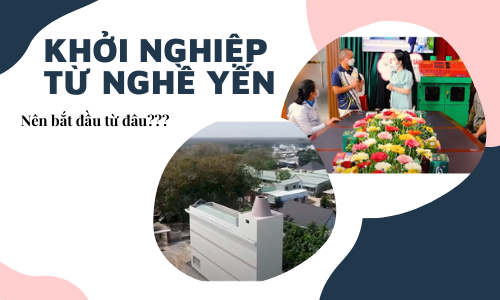 KHỞI NGHIỆP TỪ NGHỀ YẾN - NÊN BẮT ĐẦU TỪ ĐÂU?