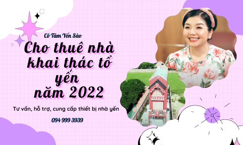 TRIỂN KHAI CHO THUÊ NHÀ KHAI THÁC TỔ YẾN