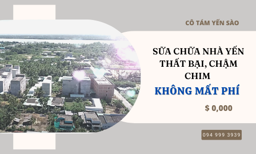 Sửa chữa nhà yến bị thất bại hoặc chậm chim KHÔNG MẤT PHÍ