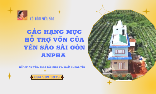 CÁC HẠNG MỤC HỖ TRỢ VỐN CỦA YẾN SÀO SÀI GÒN ANPHA