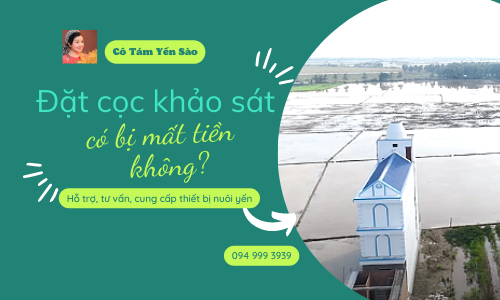 ĐẶT CỌC KHẢO SÁT CÓ BỊ MẤT TIỀN KHÔNG?