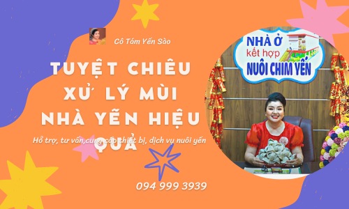 TUYỆT CHIÊU XỬ LÝ MÙI NHÀ YẾN HIỆU QUẢ