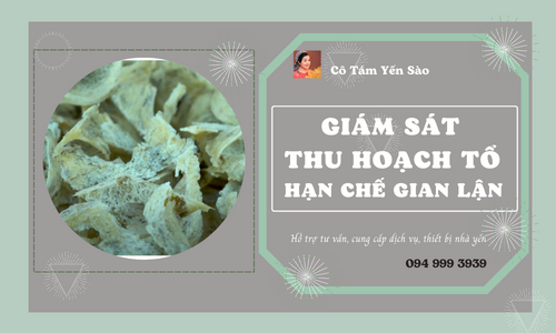 GIÁM SÁT HÁI TỔ - HẠN CHẾ GIAN LẬN NHÀ YẾN