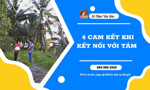 4 CAM KẾT KHI KẾT NỐI VỚI TÁM