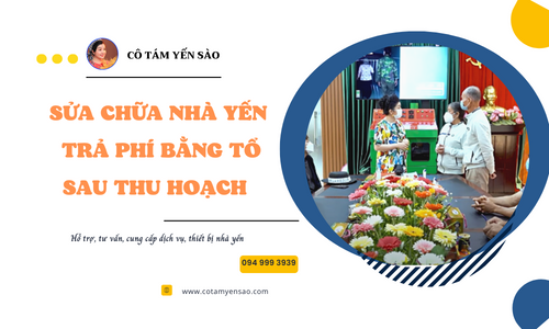 SỬA CHỮA NHÀ YẾN - TRẢ PHÍ BẰNG TỔ YẾN SAU THU HOẠCH