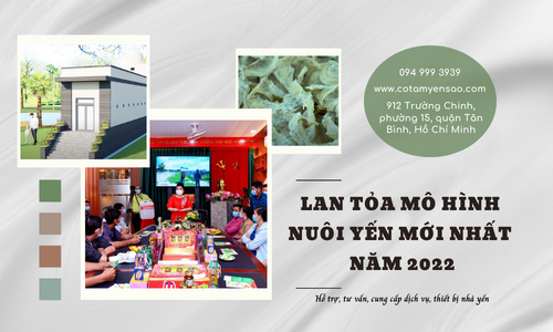 LAN TỎA MÔ HÌNH NUÔI YẾN NHẤT MỚI NĂM 2022