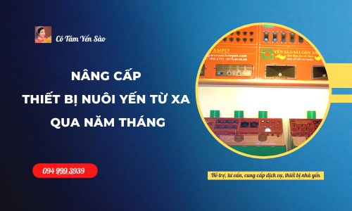 NGHIÊN CỨU - NÂNG CẤP THIẾT BỊ NUÔI YẾN TỪ XA QUA NĂM THÁNG