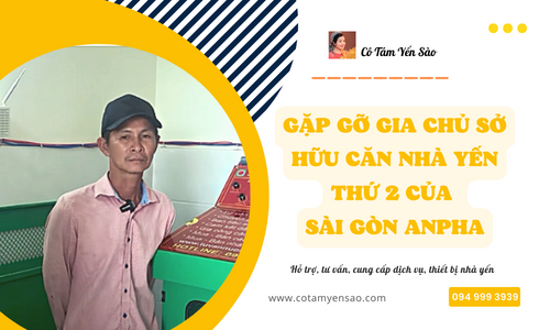 GẶP GỠ GIA CHỦ SỞ HỮU CĂN NHÀ YẾN THỨ 2 CỦA SÀI GÒN ANPHA