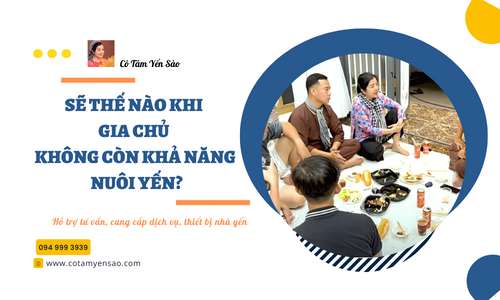 SẼ NHƯ THẾ NÀO KHI GIA CHỦ KHÔNG CÒN ĐỦ KHẢ NĂNG NUÔI YẾN?