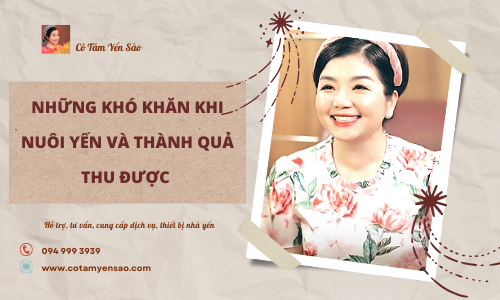 NHỮNG KHÓ KHĂN KHI NUÔI YẾN VÀ THÀNH QUẢ THU ĐƯỢC