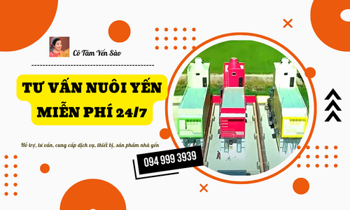 TƯ VẤN NUÔI YẾN MIỄN PHÍ 24/7