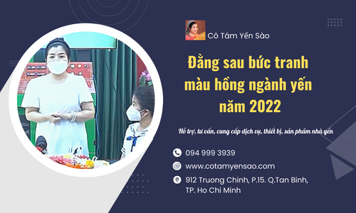 Đằng sau bức tranh màu hồng ngành yến 2022