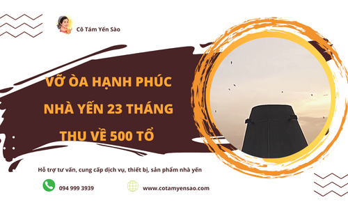 Vỡ òa hạnh phúc - Nhà yến 23 tháng thu về 500 tổ