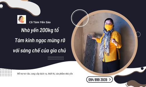 Nhà yến 200kg tổ | Tám kinh ngạc mừng rỡ với sáng chế của gia chủ