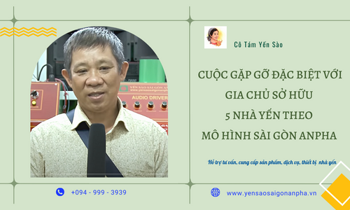 Cuộc gặp gỡ đặc biệt với gia chủ sỡ hữu 5 nhà yến theo mô hình Sài Gòn Anpha