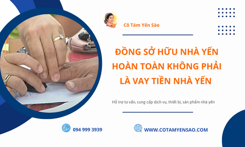 ĐỒNG SỞ HỮU nhà yến - hoàn toàn không phải là VAY TIỀN nhà yến