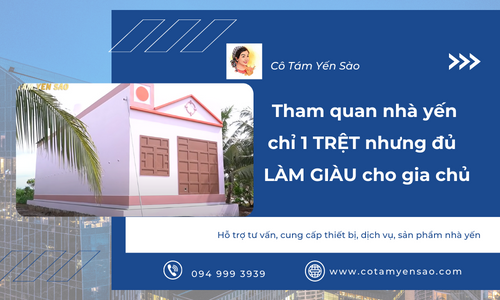 Tham quan nhà yến chỉ 1 trệt NHƯNG đủ làm giàu cho gia chủ