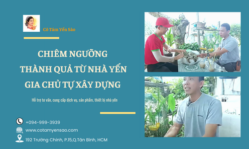 Chiêm ngưỡng thành quả từ nhà yến gia chủ tự xây dựng