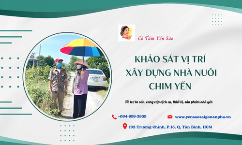 Khảo sát vị trí xây dựng nhà nuôi chim yến