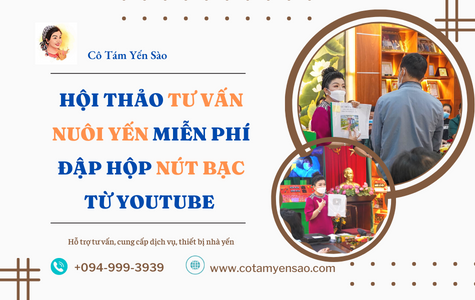 Hội thảo tư vấn nghề nuôi chim yến miễn phí - Đập hộp Nút Bạc từ Youtube