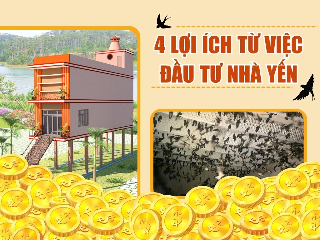 4 LỢI ÍCH TỪ VIỆC ĐẦU TƯ NHÀ YẾN