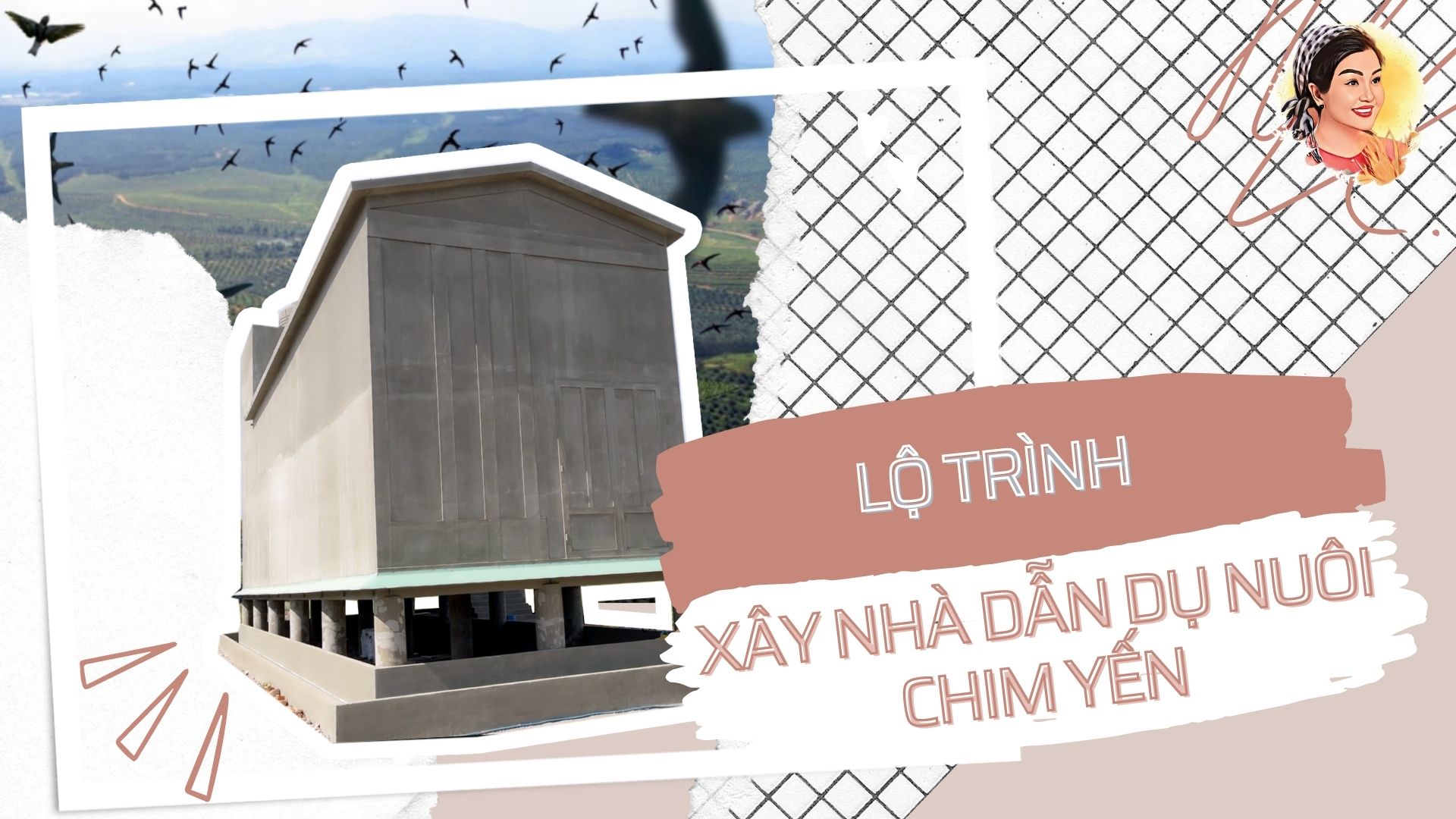 LỘ TRÌNH XÂY NHÀ DẪN DỤ NUÔI CHIM YẾN