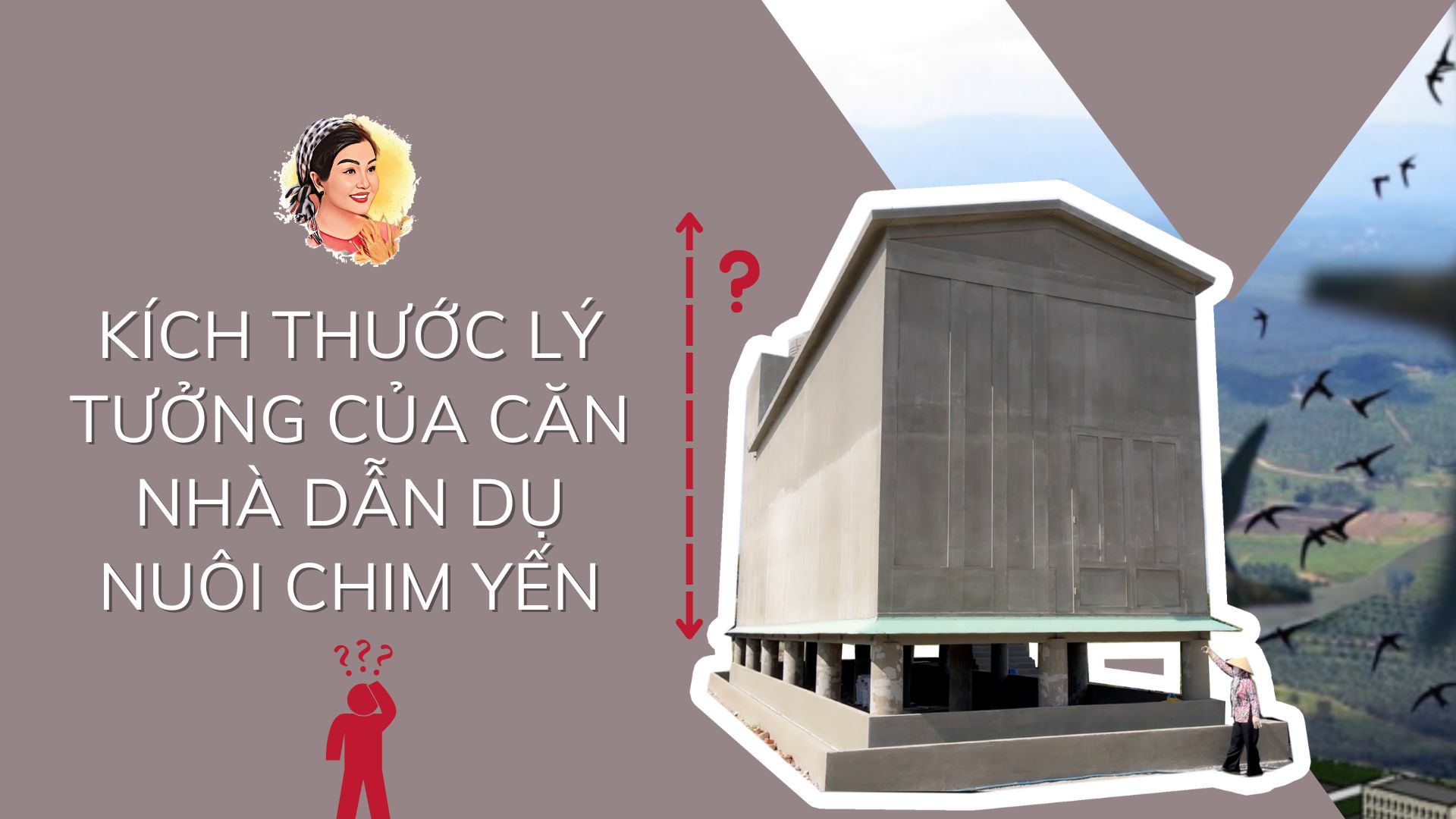 KÍCH THƯỚC LÝ TƯỞNG CỦA CĂN NHÀ DẪN DỤ NUÔI CHIM YẾN