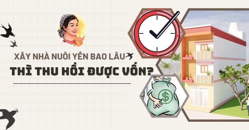 XÂY NHÀ NUÔI YẾN BAO LÂU THÌ THU HỒI ĐƯỢC VỐN?