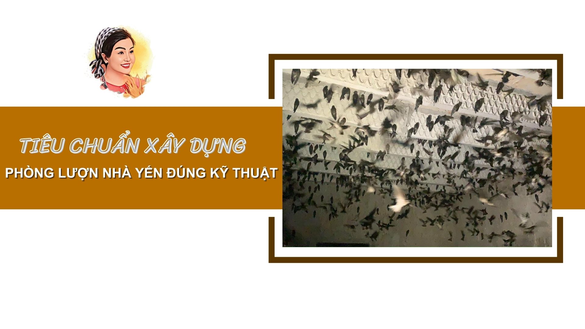 TIÊU CHUẨN XÂY DỰNG PHÒNG LƯỢN NHÀ YẾN ĐÚNG KỸ THUẬT