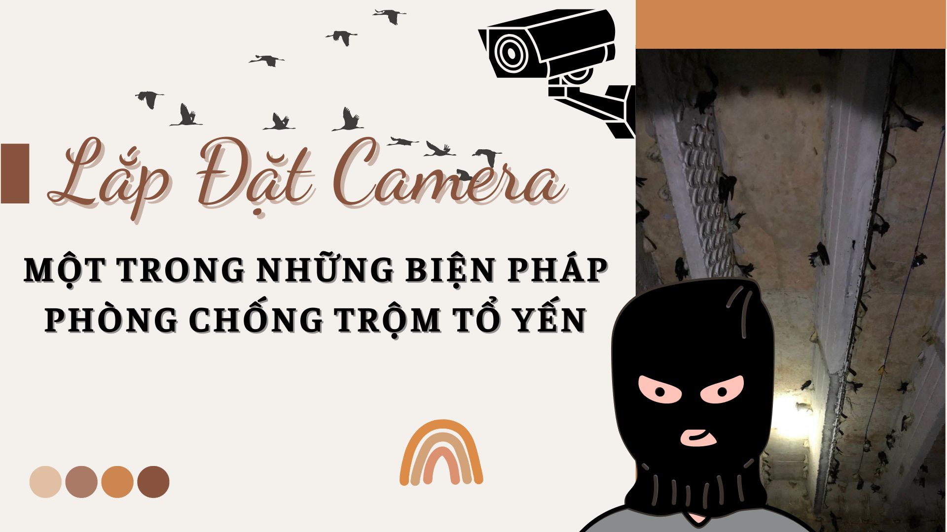 LẮP ĐẶT CAMERA: MỘT TRONG NHỮNG BIỆN PHÁP PHÒNG CHỐNG TRỘM TỔ YẾN