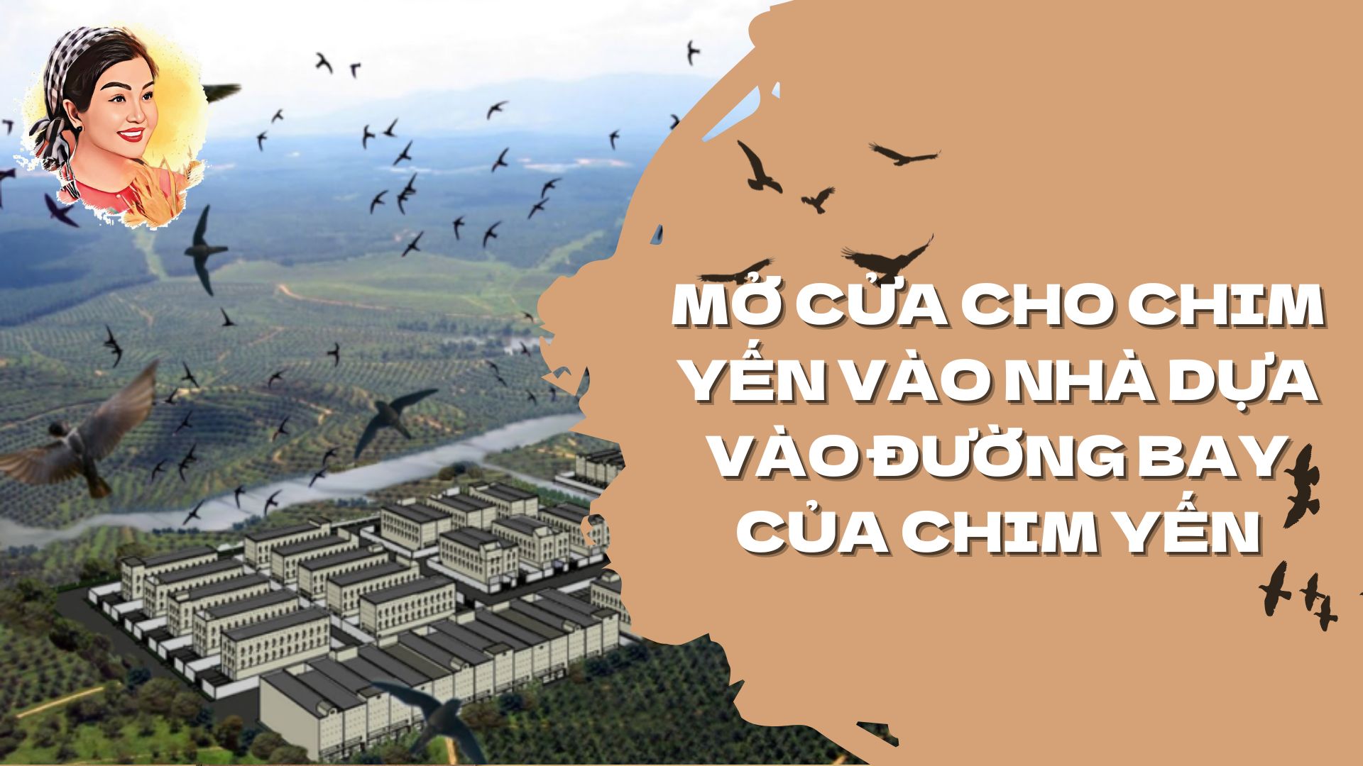 MỞ CỬA CHO CHIM YẾN VÀO NHÀ DỰA VÀO ĐƯỜNG BAY CỦA CHIM YẾN