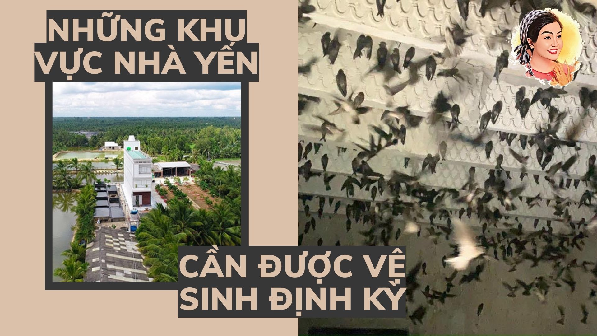 NHỮNG KHU VỰC NHÀ YẾN CẦN ĐƯỢC VỆ SINH ĐỊNH KỲ