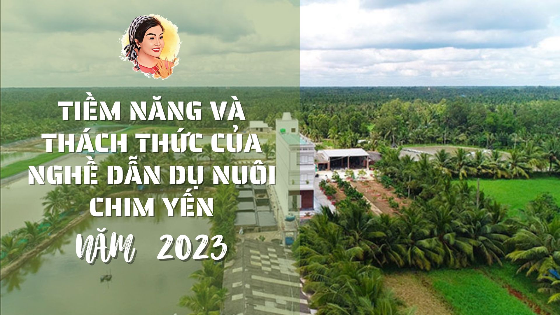 TIỀM NĂNG VÀ THÁCH THỨC CỦA NGHỀ DẪN DỤ NUÔI CHIM YẾN NĂM 2023