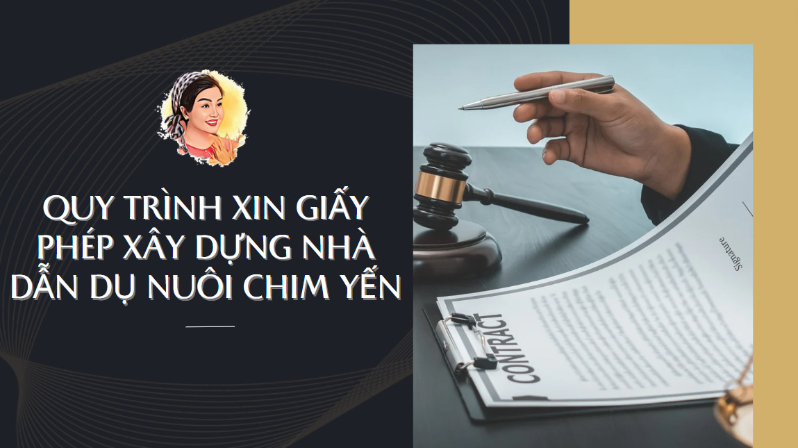 QUY TRÌNH XIN GIẤY PHÉP XÂY DỰNG NHÀ DẪN DỤ NUÔI CHIM YẾN