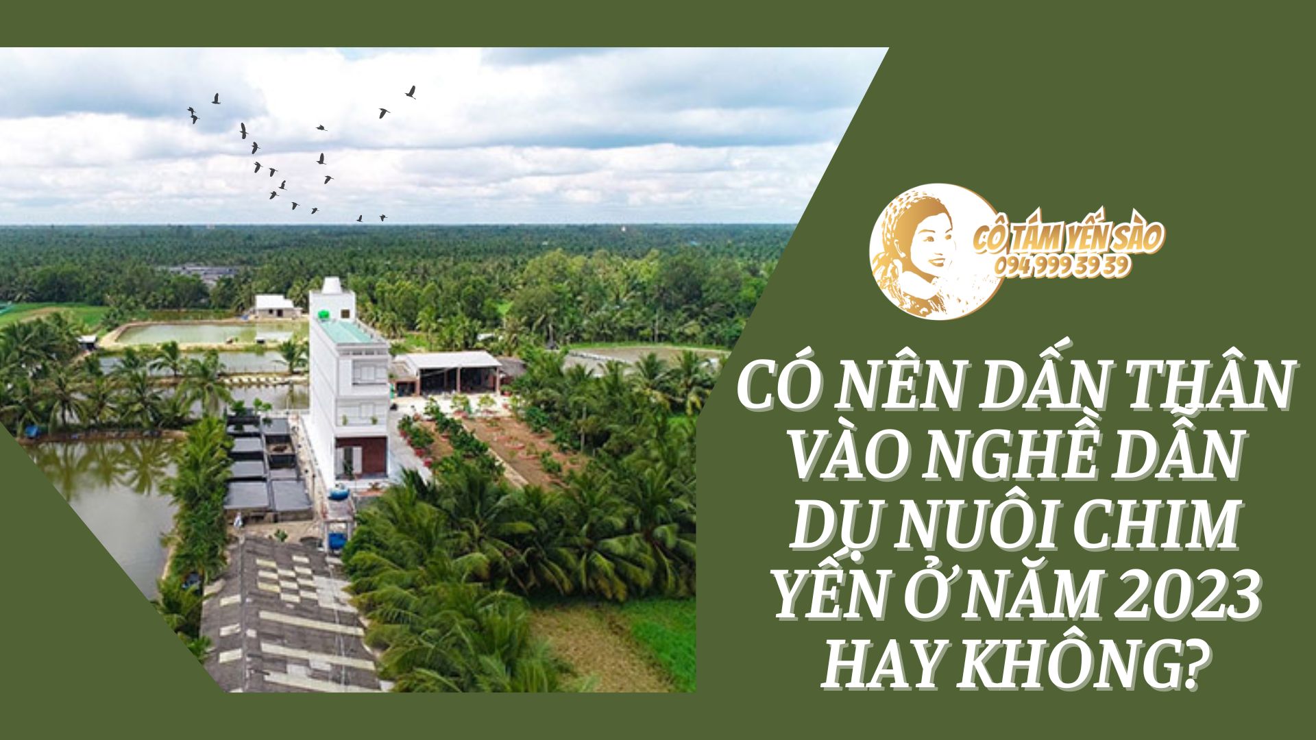 CÓ NÊN DẤN THÂN VÀO NGHỀ DẪN DỤ NUÔI CHIM YẾN Ở NĂM 2023 HAY KHÔNG?