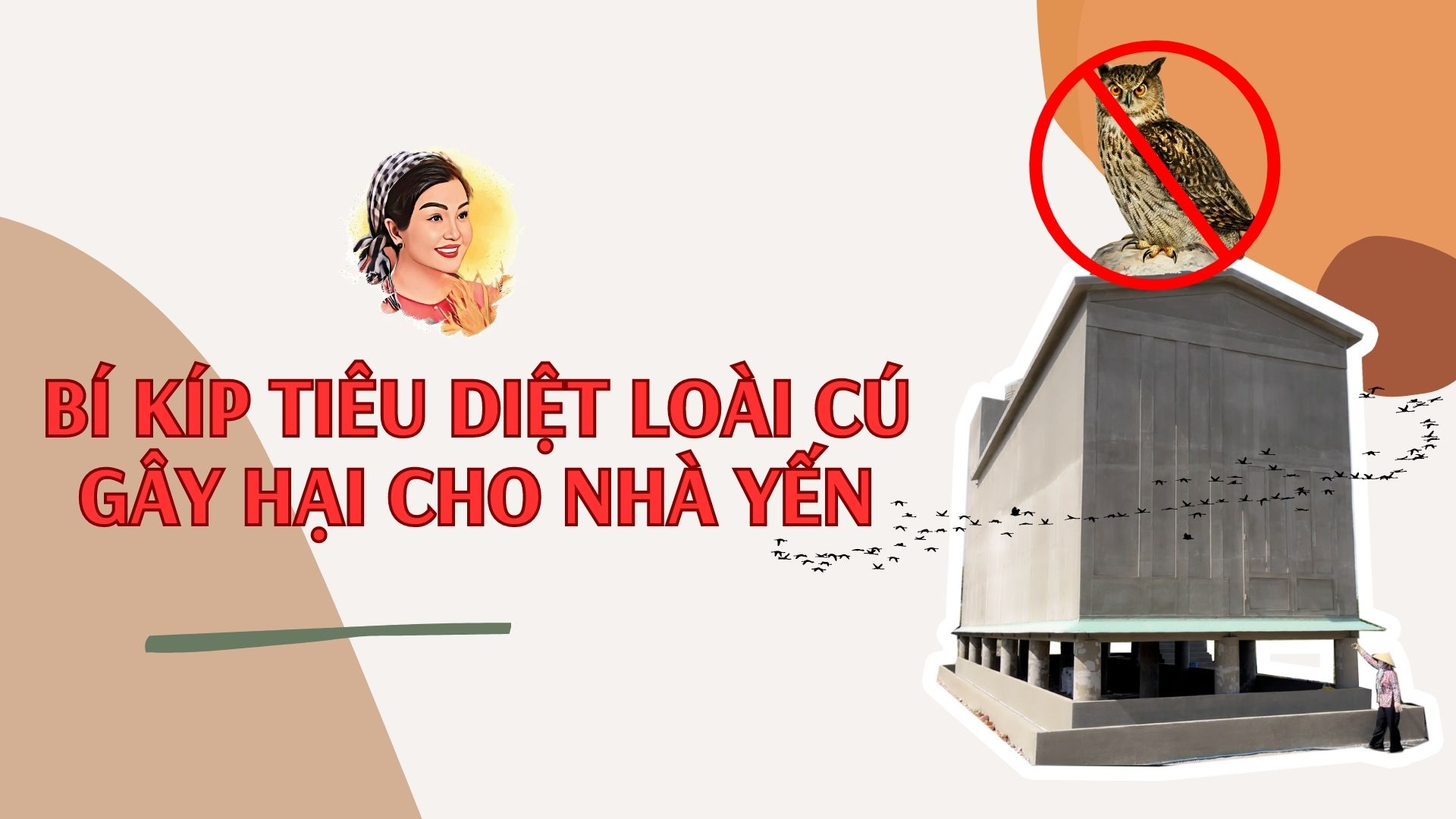 BÍ KÍP TIÊU DIỆT LOÀI CÚ GÂY HẠI CHO NHÀ YẾN