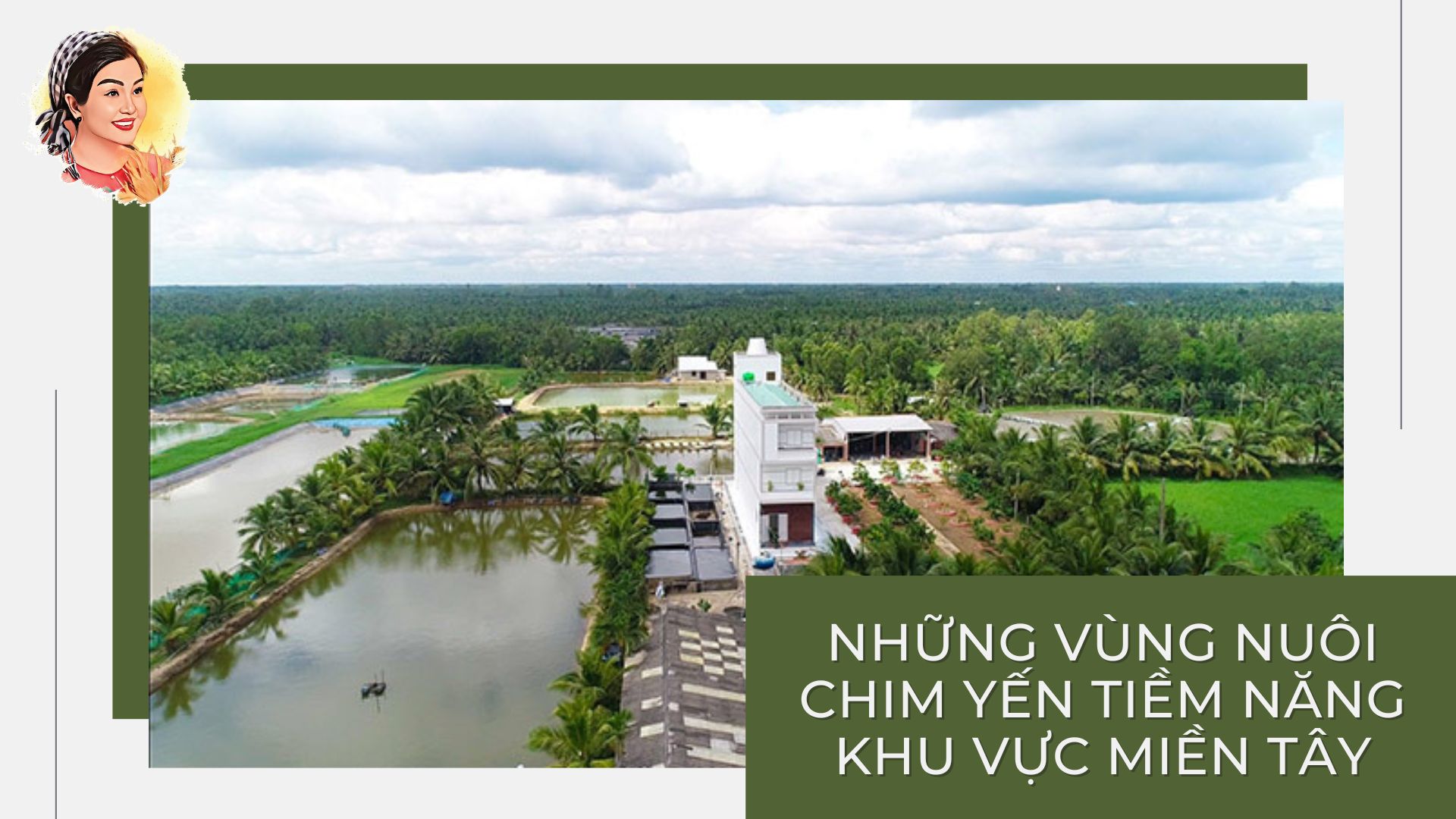 NHỮNG VÙNG NUÔI CHIM YẾN TIỀM NĂNG KHU VỰC MIỀN TÂY