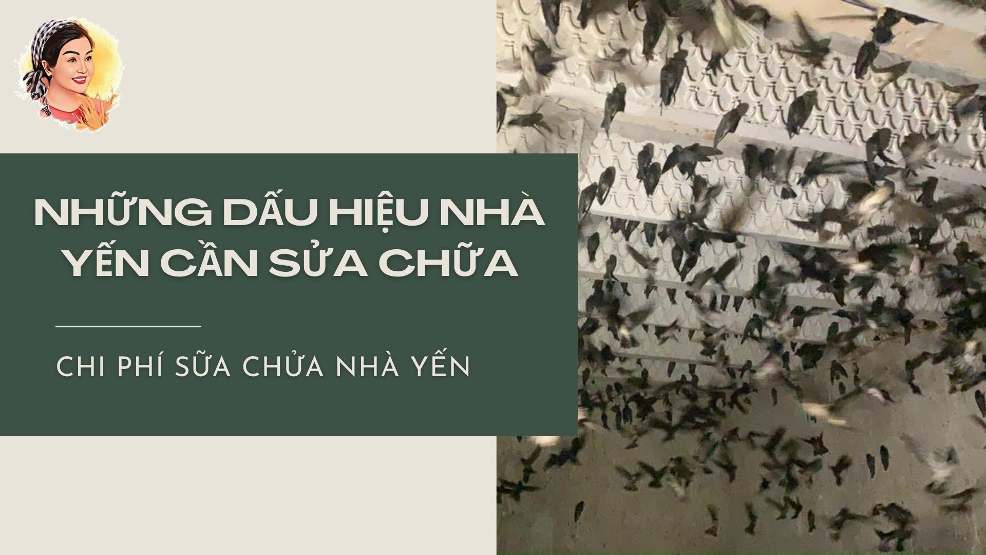 NHỮNG DẤU HIỆU NHÀ YẾN CẦN SỬA CHỮA