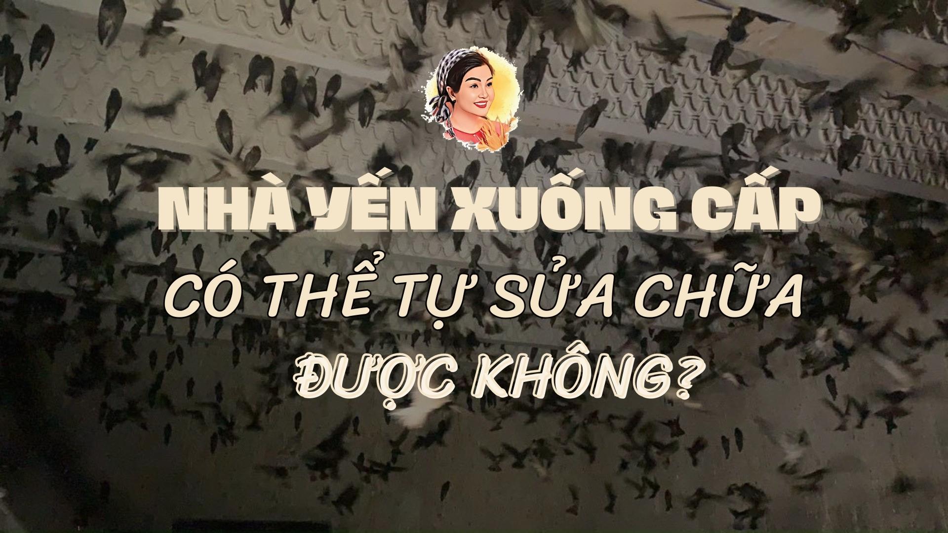 NHÀ YẾN XUỐNG CẤP CÓ THỂ TỰ SỬA CHỮA NHÀ YẾN ĐƯỢC KHÔNG?