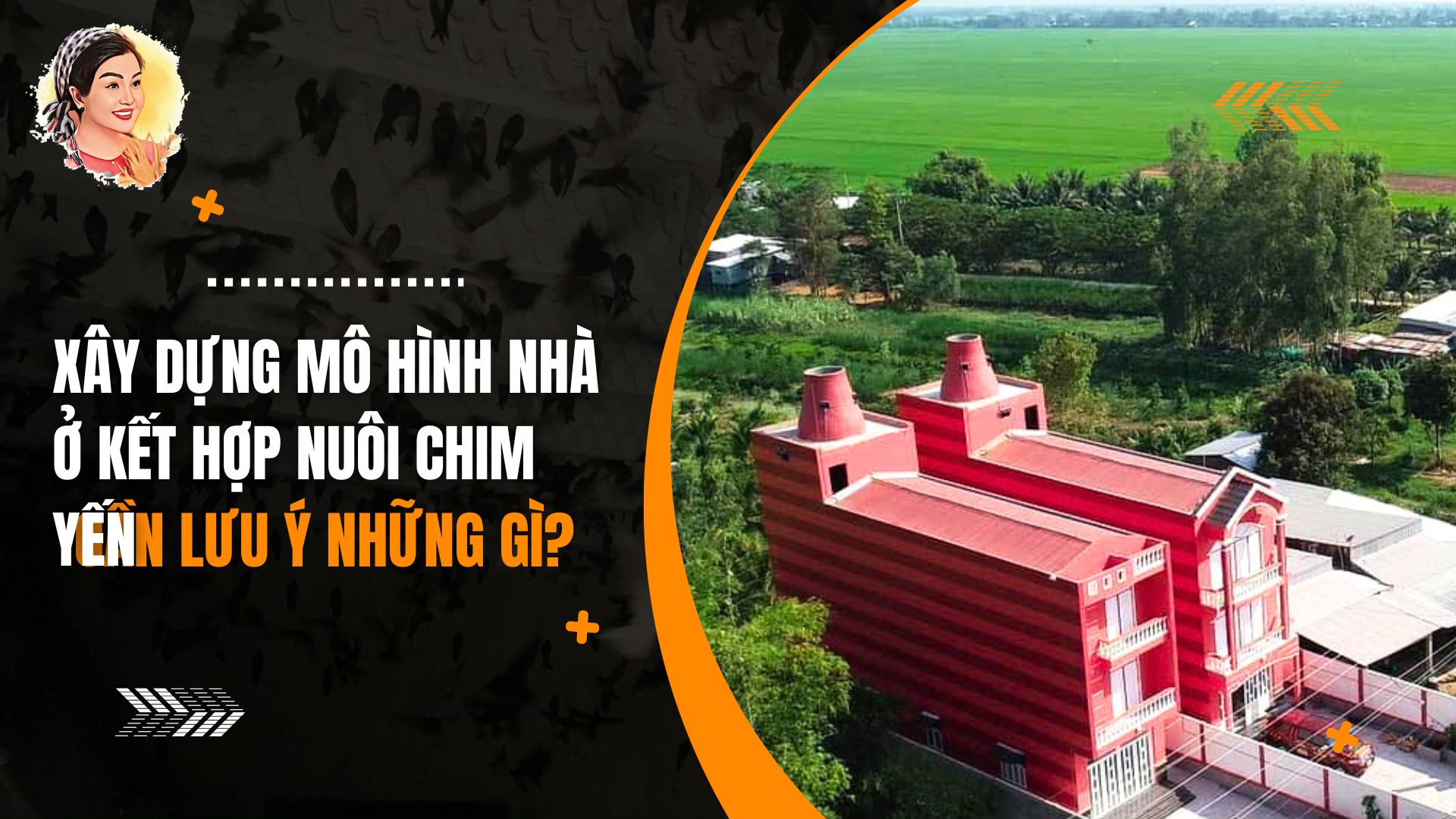 XÂY DỰNG MÔ HÌNH NHÀ Ở KẾT HỢP NUÔI CHIM YẾN CẦN LƯU Ý NHỮNG GÌ?